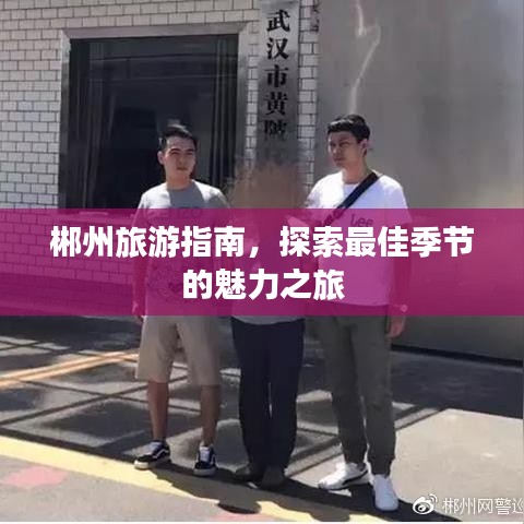 郴州旅游指南,探索最佳季节的魅力之旅