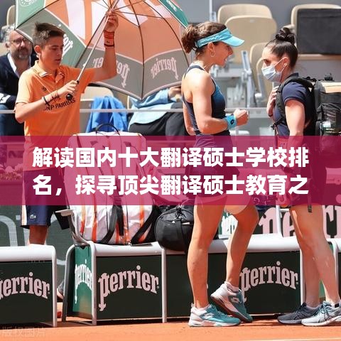 解读国内十大翻译硕士学校排名，探寻顶尖翻译硕士教育之门！