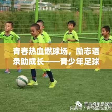 青春热血燃球场，励志语录助成长——青少年足球之路的激情与梦想