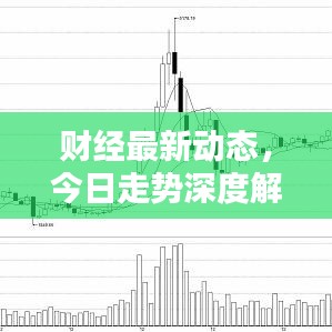 财经最新动态，今日走势深度解析