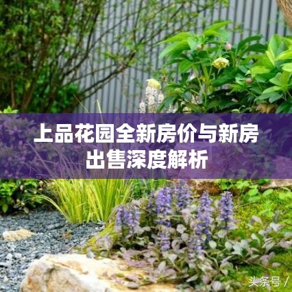 上品花园全新房价与新房出售深度解析