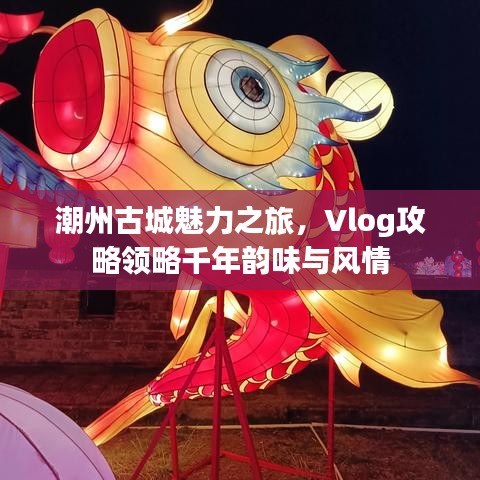 潮州古城魅力之旅，Vlog攻略领略千年韵味与风情