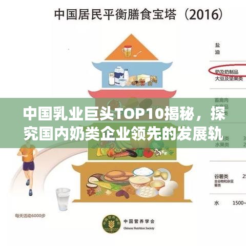 中国乳业巨头TOP10揭秘,探究国内奶类企业领先的发展轨迹