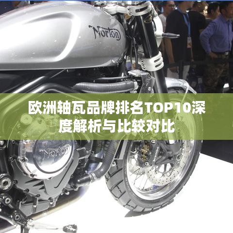 欧洲轴瓦品牌排名TOP10深度解析与比较对比