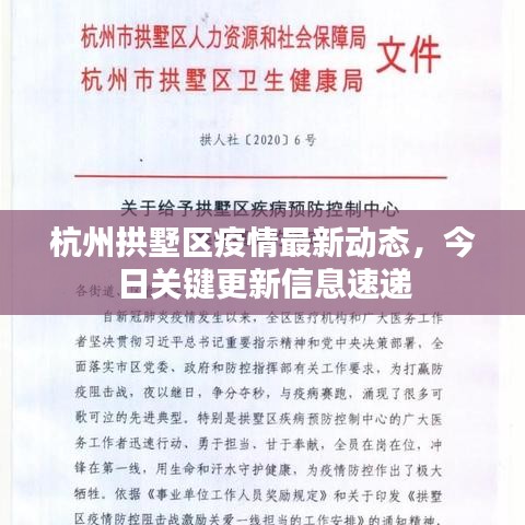 杭州拱墅区疫情最新动态，今日关键更新信息速递