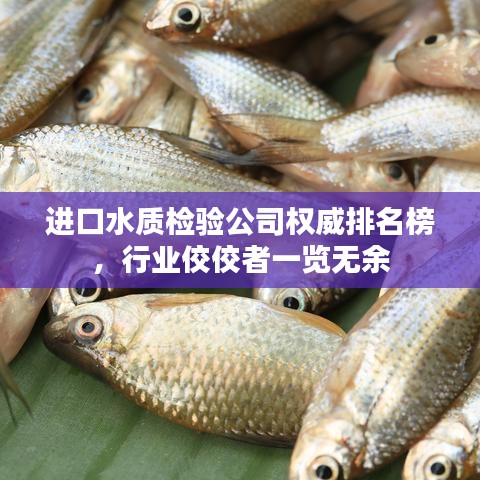 进口水质检验公司权威排名榜,行业佼佼者一览无余