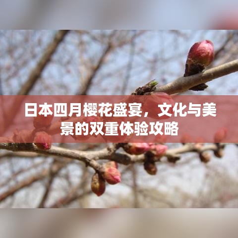 日本四月樱花盛宴，文化与美景的双重体验攻略