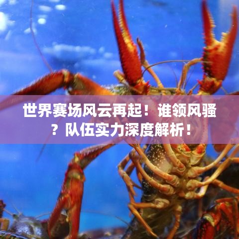 世界赛场风云再起！谁领风骚？队伍实力深度解析！