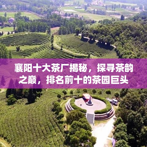 襄阳十大茶厂揭秘，探寻茶韵之巅，排名前十的茶园巨头