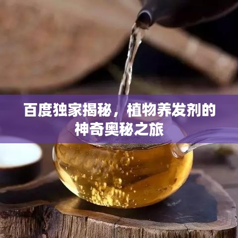 百度独家揭秘，植物养发剂的神奇奥秘之旅