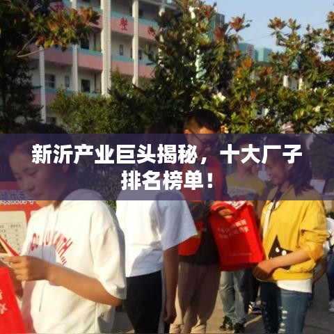 新沂产业巨头揭秘，十大厂子排名榜单！