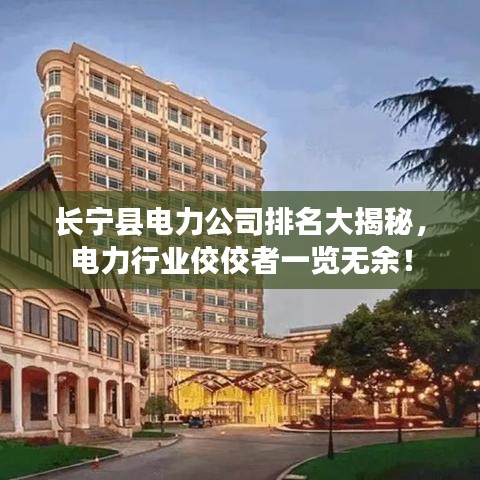 长宁县电力公司排名大揭秘，电力行业佼佼者一览无余！