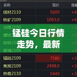 锰硅今日行情走势，最新价格分析与市场展望