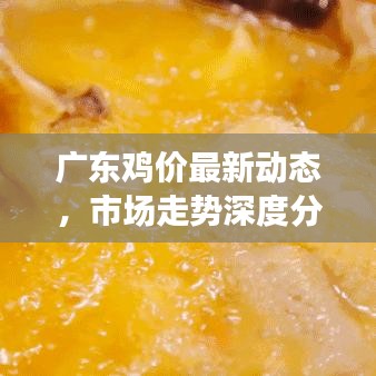 广东鸡价最新动态，市场走势深度分析与预测