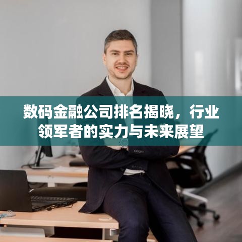 数码金融公司排名揭晓，行业领军者的实力与未来展望
