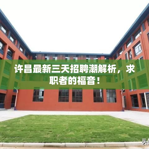 许昌最新三天招聘潮解析，求职者的福音！