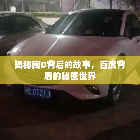揭秘闽D背后的故事，百度背后的秘密世界