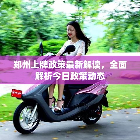 郑州上牌政策最新解读，全面解析今日政策动态