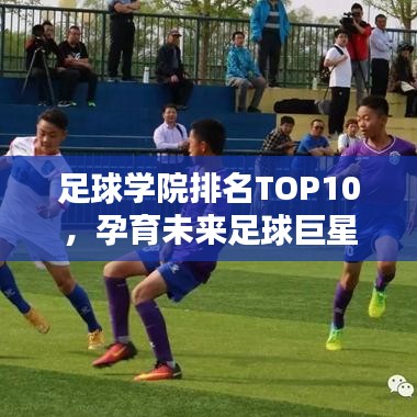 足球学院排名TOP10,孕育未来足球巨星的摇篮探寻!