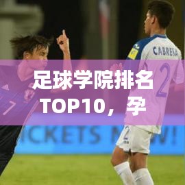 足球学院排名TOP10,孕育未来足球巨星的摇篮探寻!