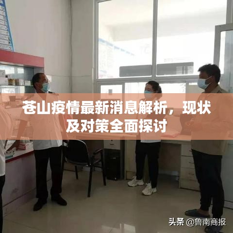 苍山疫情最新消息解析,现状及对策全面探讨