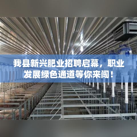 我县新兴肥业招聘启幕，职业发展绿色通道等你来闯！