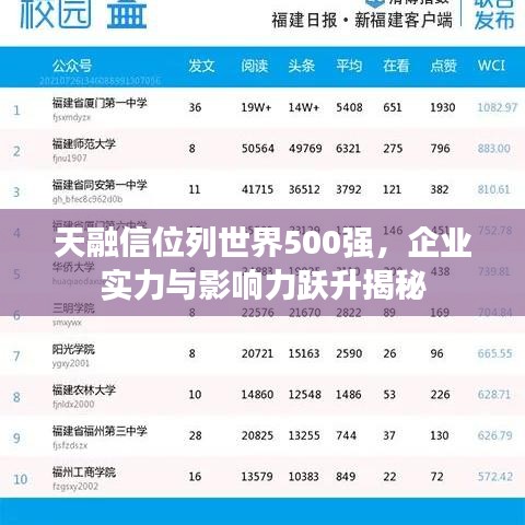 天融信位列世界500强，企业实力与影响力跃升揭秘