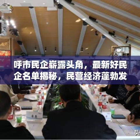 呼市民企崭露头角，最新好民企名单揭秘，民营经济蓬勃发展荣耀榜单揭晓！