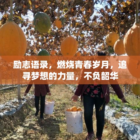 励志语录，燃烧青春岁月，追寻梦想的力量，不负韶华