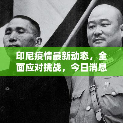 印尼疫情最新动态，全面应对挑战，今日消息更新！