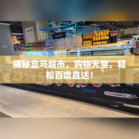 揭秘盒马超市，购物天堂，轻松百度直达！