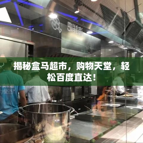 揭秘盒马超市,购物天堂,轻松百度直达!