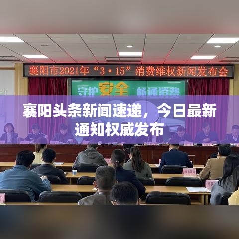 襄阳头条新闻速递，今日最新通知权威发布