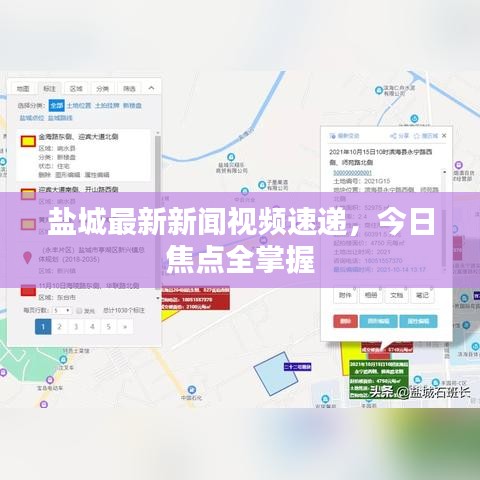 盐城最新新闻视频速递，今日焦点全掌握