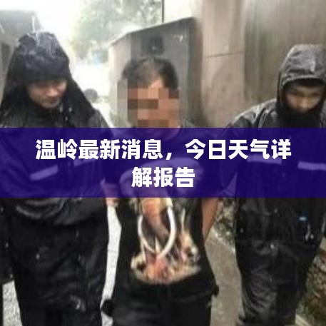 温岭最新消息，今日天气详解报告