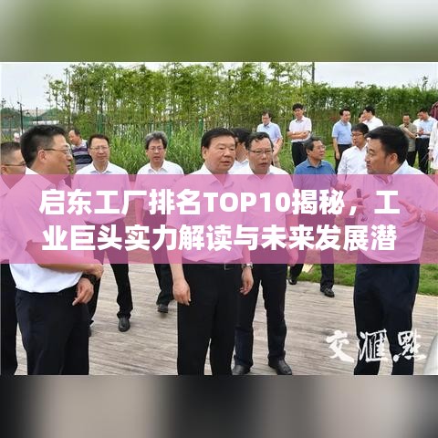 启东工厂排名TOP10揭秘,工业巨头实力解读与未来发展潜力展望