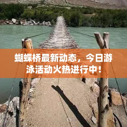 蝴蝶桥最新动态，今日游泳活动火热进行中！