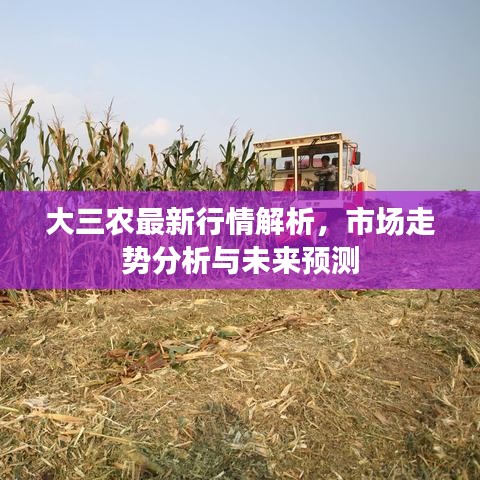 大三农最新行情解析，市场走势分析与未来预测