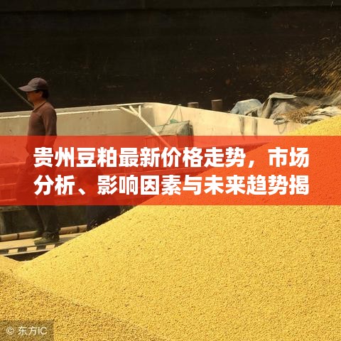 贵州豆粕最新价格走势，市场分析、影响因素与未来趋势揭秘