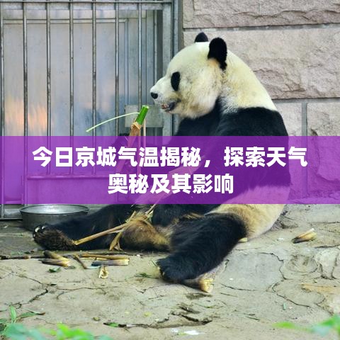 今日京城气温揭秘,探索天气奥秘及其影响