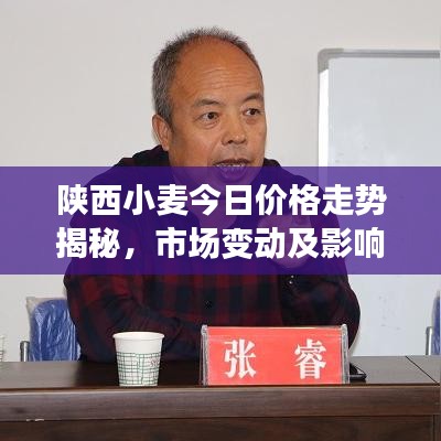 百不得一 第8页