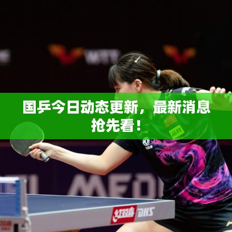 国乒今日动态更新，最新消息抢先看！