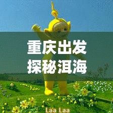 重庆出发探秘洱海之美,超详细旅游攻略