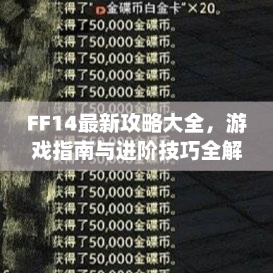 FF14最新攻略大全，游戏指南与进阶技巧全解析