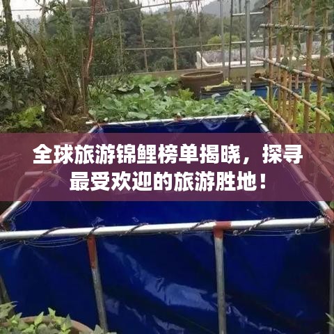 全球旅游锦鲤榜单揭晓，探寻最受欢迎的旅游胜地！