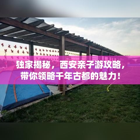独家揭秘，西安亲子游攻略，带你领略千年古都的魅力！