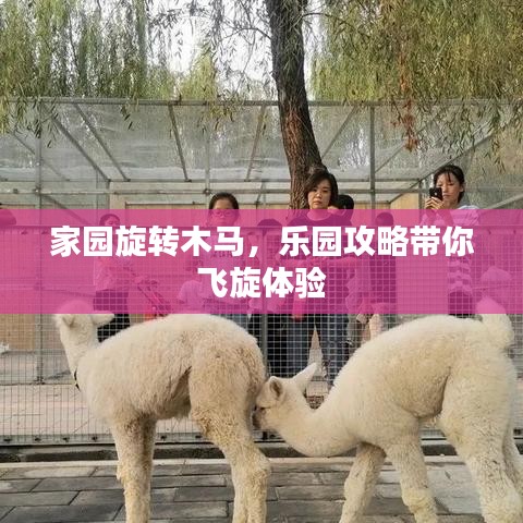 家园旋转木马，乐园攻略带你飞旋体验