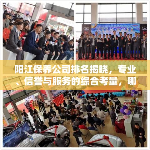 阳江保养公司排名揭晓，专业、信誉与服务的综合考量，哪家公司脱颖而出？