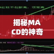 各就各位 第10页