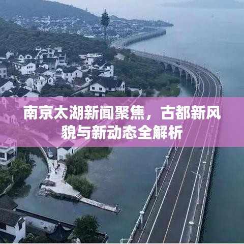 南京太湖新闻聚焦，古都新风貌与新动态全解析